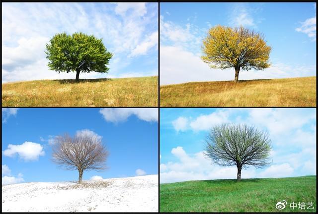 时间的确立:中国最早的年、月、日、时辰、四季、二十四节气由来休闲区蓝鸢梦想 - Www.slyday.coM 时间的确立:中国最早的年、月、日、时辰、四季、二十四节气由来休闲区蓝鸢梦想 - Www.slyday.coM