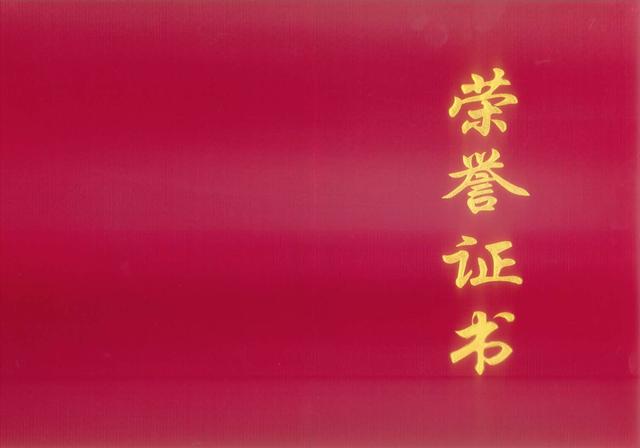 建盏名家排名2020排名9_2020泰晤士世界大学影响力排名发布!中国大陆9校跻