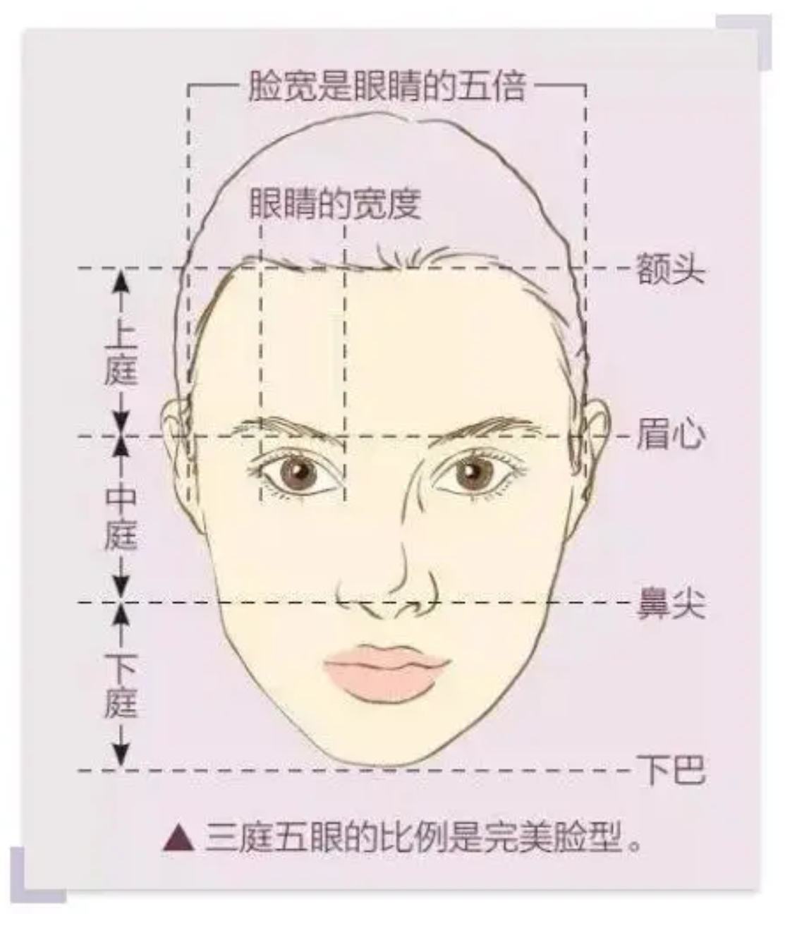 好看减龄专治大脸 半个娱乐圈女明星都在try