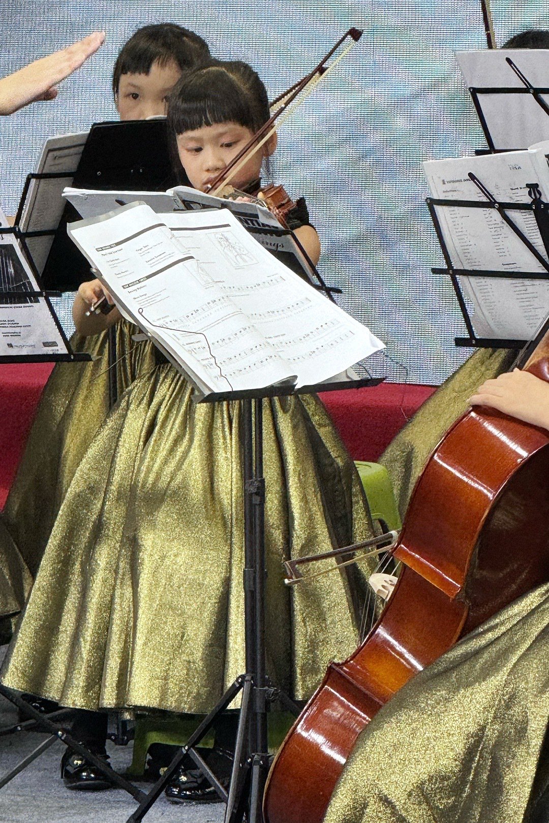 从看放牛班的春天入坑 自己报了乐团 摆姿势拉空弦 到现在能演奏了！