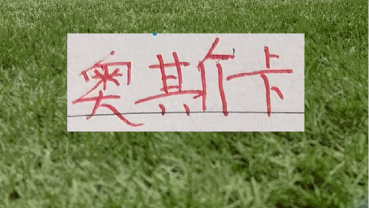 海港奥斯卡也退役了！