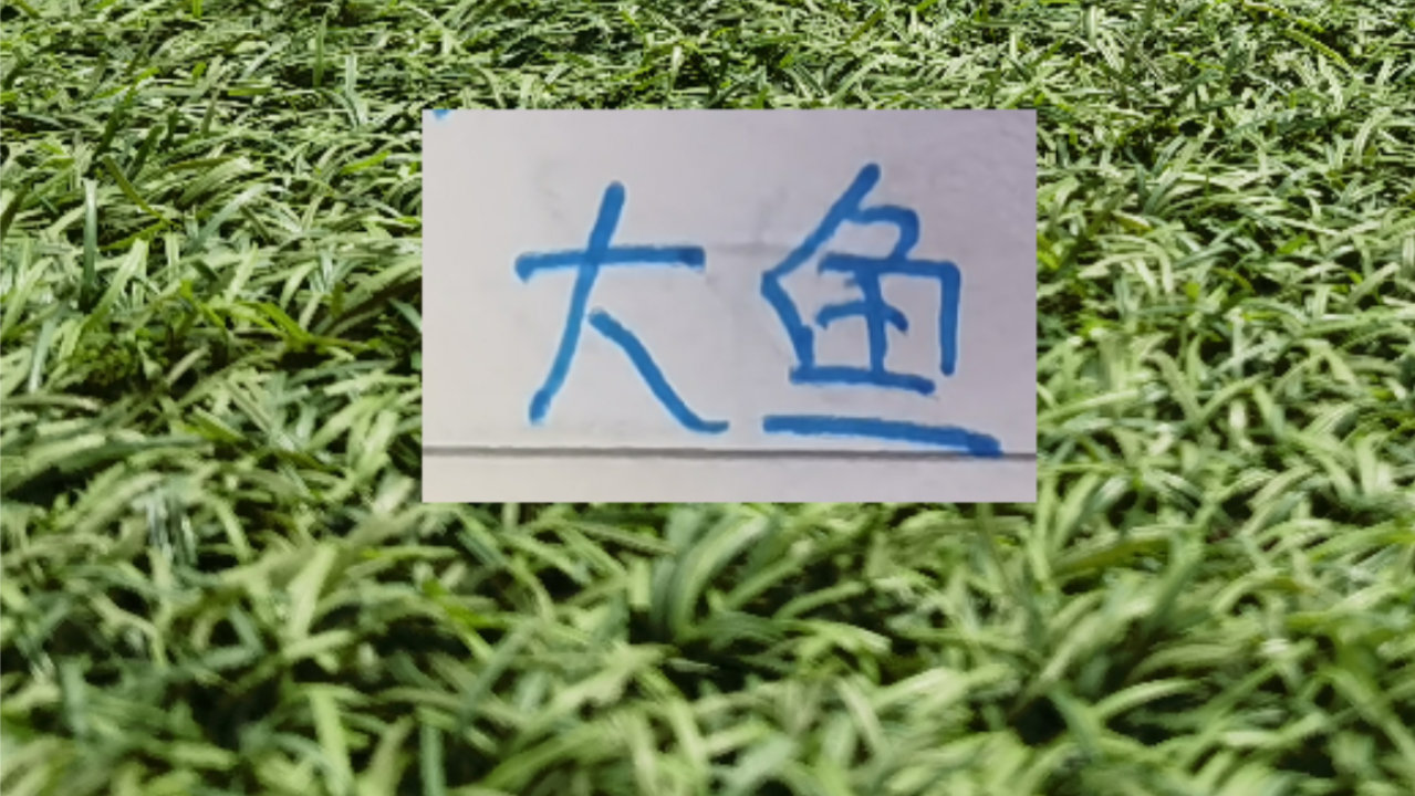 帅气的一击！山东泰山的卡扎跟北京国安发飙同一天过生日