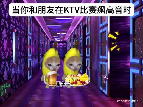 寂寞先生 曹格 猫meme 猫meme小剧场