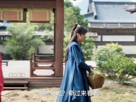 北齐大公主骡马不分，范闲给二皇子下毒