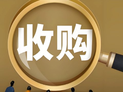 买公司还是买资产？矿业项目股权收购VS矿权收购