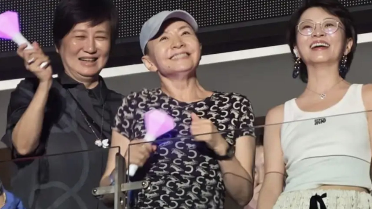 那英演唱会的包厢里，最野的还不是王菲