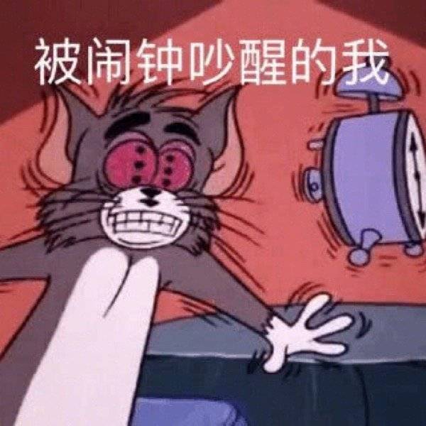 表情包被闹钟吵醒的我