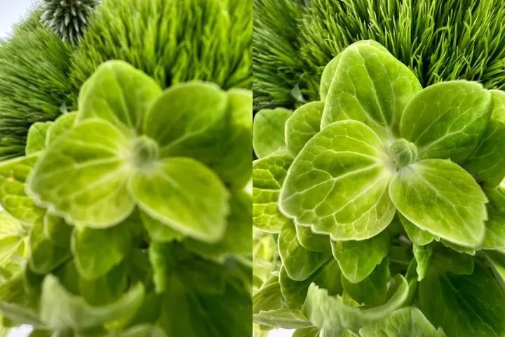 iPhone 13 Pro Max 首发评测:A15 强得很,但主战场并不在游戏休闲区蓝鸢梦想 - Www.slyday.coM iPhone 13 Pro Max 首发评测:A15 强得很,但主战场并不在游戏休闲区蓝鸢梦想 - Www.slyday.coM