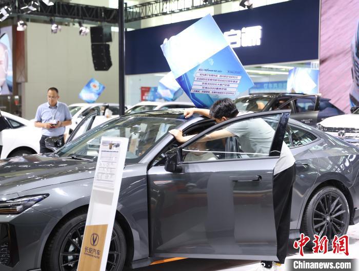 宁夏银川：市民周末逛车展