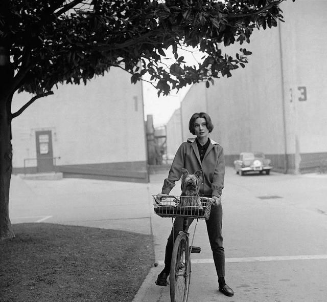 每一张都是经典都是传奇!由哈苏拍出来的照片你知道哪一张?休闲区蓝鸢梦想 - Www.slyday.coM 每一张都是经典都是传奇!由哈苏拍出来的照片你知道哪一张?休闲区蓝鸢梦想 - Www.slyday.coM