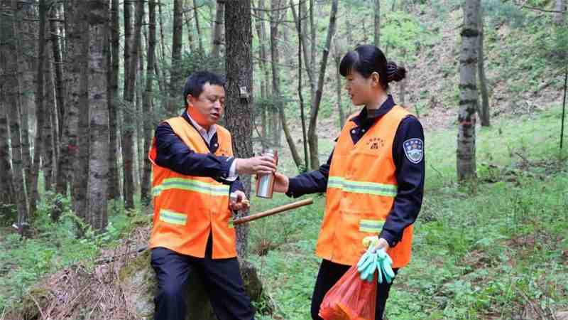 3万头“流氓大象”肆虐印度,印度政府要保护,民众却...