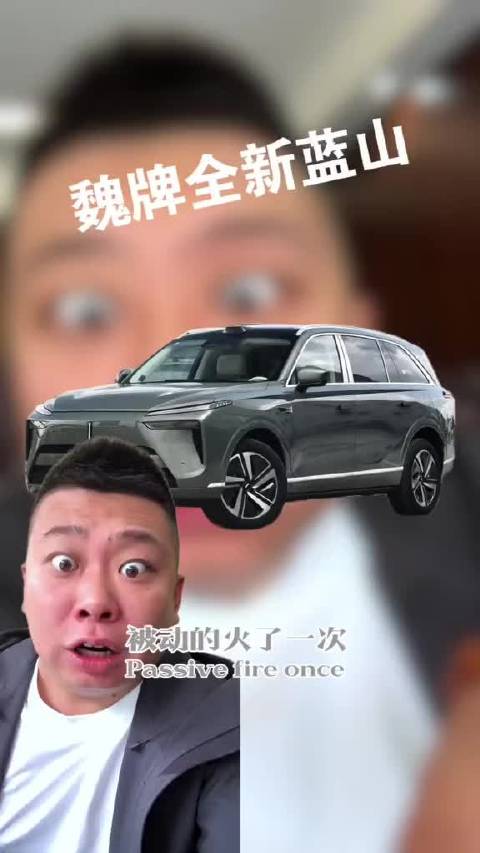 不会说话的魏牌蓝山，用一次次实测，撞出了安全感