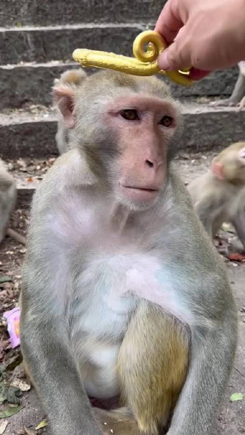 我好像记起来了什么 又好像什么都没有记起