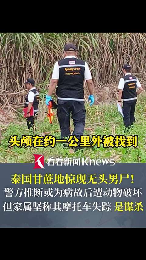 泰国甘蔗地惊现无头男尸！头颅在一公里外被找到