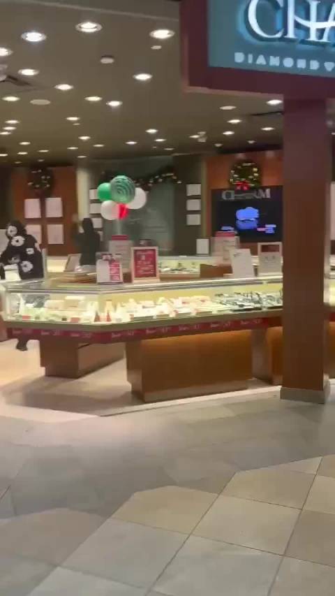加拿大多伦多一家购物中心发生持械抢劫案