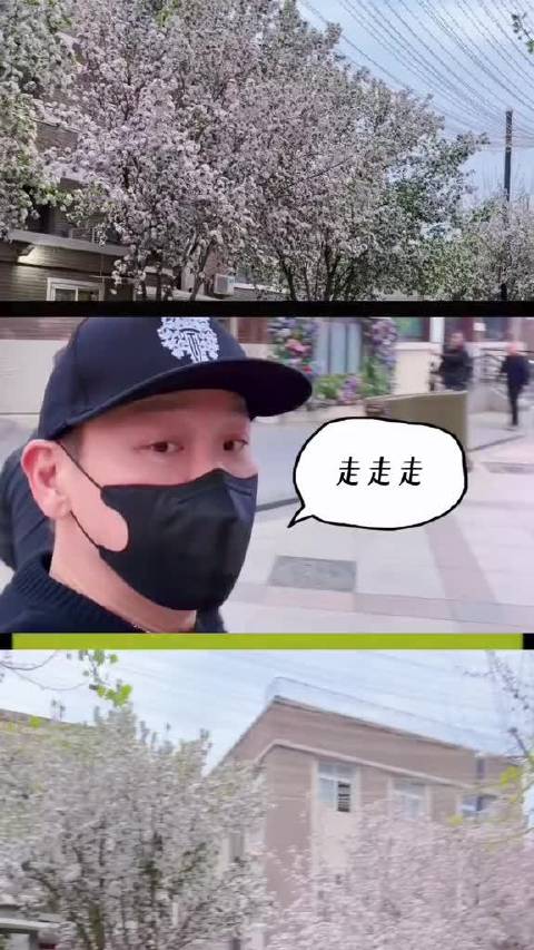 陶喆天津赏海棠邀粉丝互动