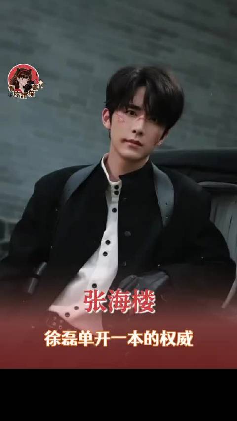 《南部档案》张海楼角色引发热议，张新成出演南洋传奇