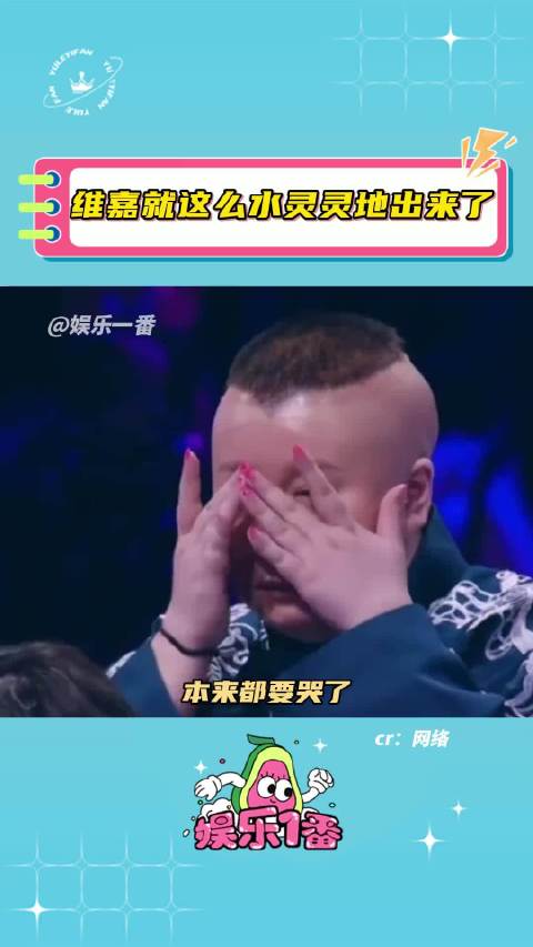 离开维嘉还有谁能逗我笑