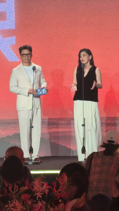 段奕宏梅婷谈文学改编压力，段奕宏称AI表演带来挑战