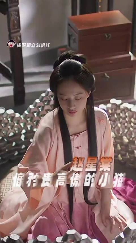 赵星棠就像一只矜贵高傲的小猫