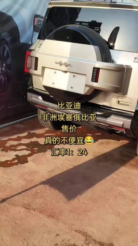 这是在非洲的中国网友拍摄的，他感慨比亚迪在国外完全算是豪车了…