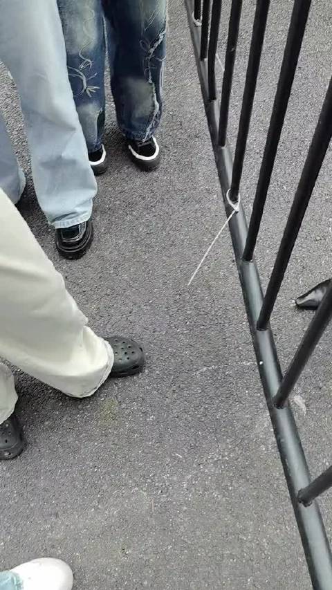 千玺对鸟们的爱太拿得出手了