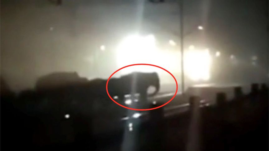 实拍：夜晚象群集体转移过铁道 火车刹车不及直接从象群中穿过