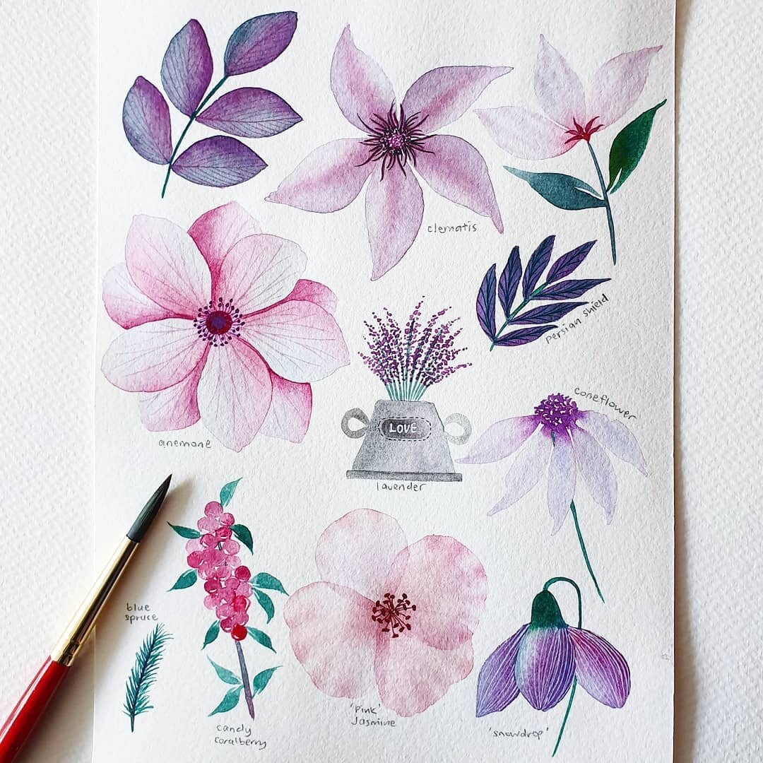 一组治愈系水彩花卉植物作品ins:lettersoflovebyjo