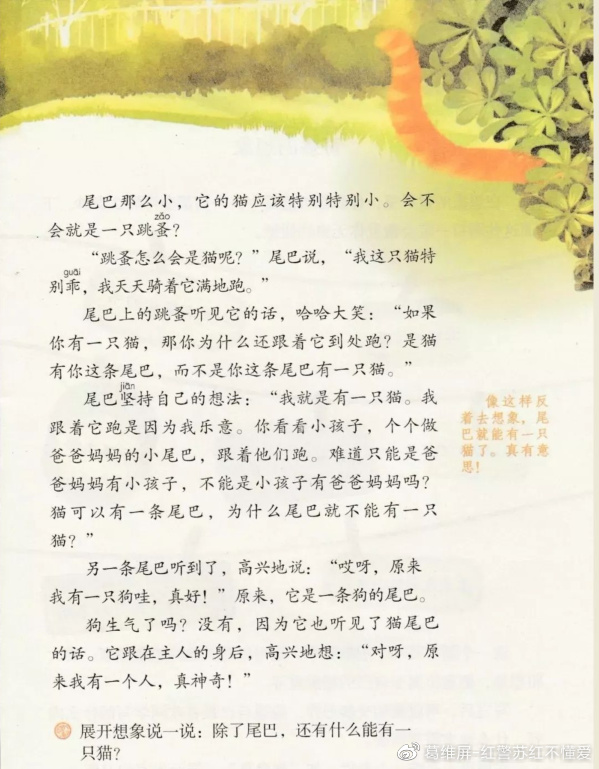 三年级课文《尾巴它有一只猫》并无反讽意味，反而倡导错误的理念-尾巴它有一只猫主要讲了什么内容