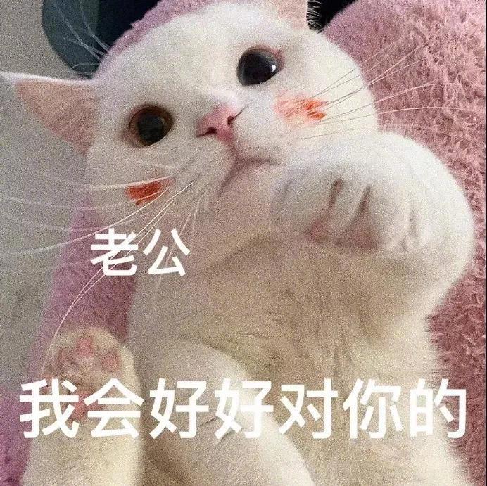表情包老公我会好好对你的