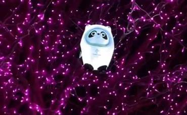 河北承德四棵树上挂满会发光的“冰墩墩”,当地居民:想摘但够不到休闲区蓝鸢梦想 - Www.slyday.coM 河北承德四棵树上挂满会发光的“冰墩墩”,当地居民:想摘但够不到休闲区蓝鸢梦想 - Www.slyday.coM