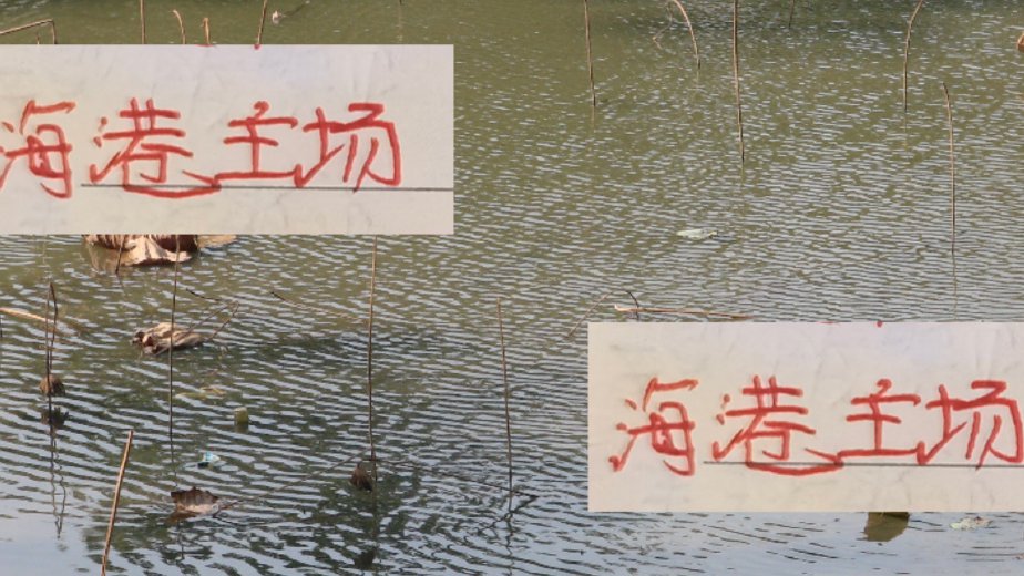 如果海港夺冠！还是胜在精准引援 梅伦多换古9 就是经典案例