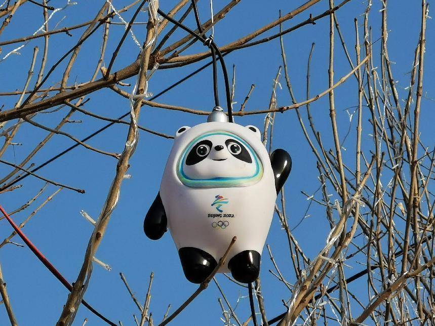 河北承德四棵树上挂满会发光的“冰墩墩”,当地居民:想摘但够不到休闲区蓝鸢梦想 - Www.slyday.coM 河北承德四棵树上挂满会发光的“冰墩墩”,当地居民:想摘但够不到休闲区蓝鸢梦想 - Www.slyday.coM