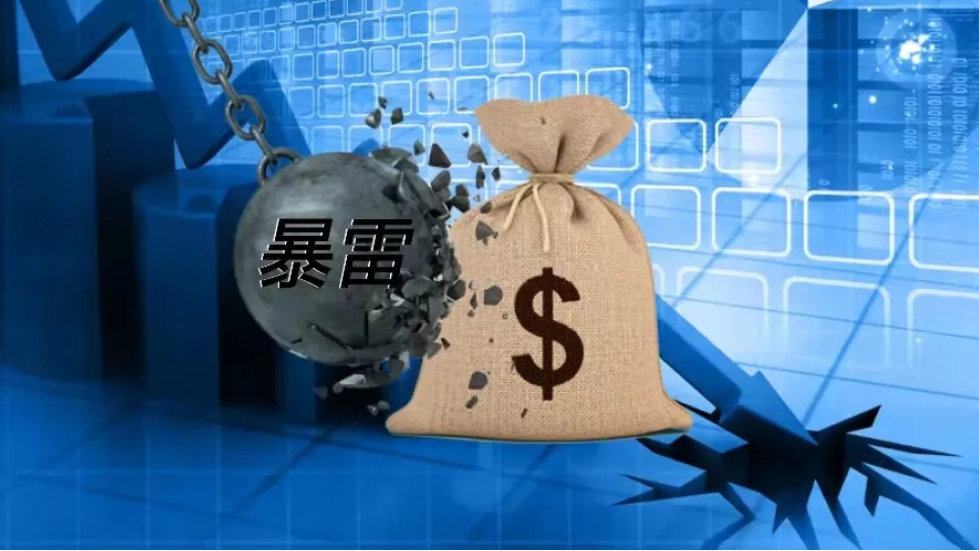 新动力的股票概况