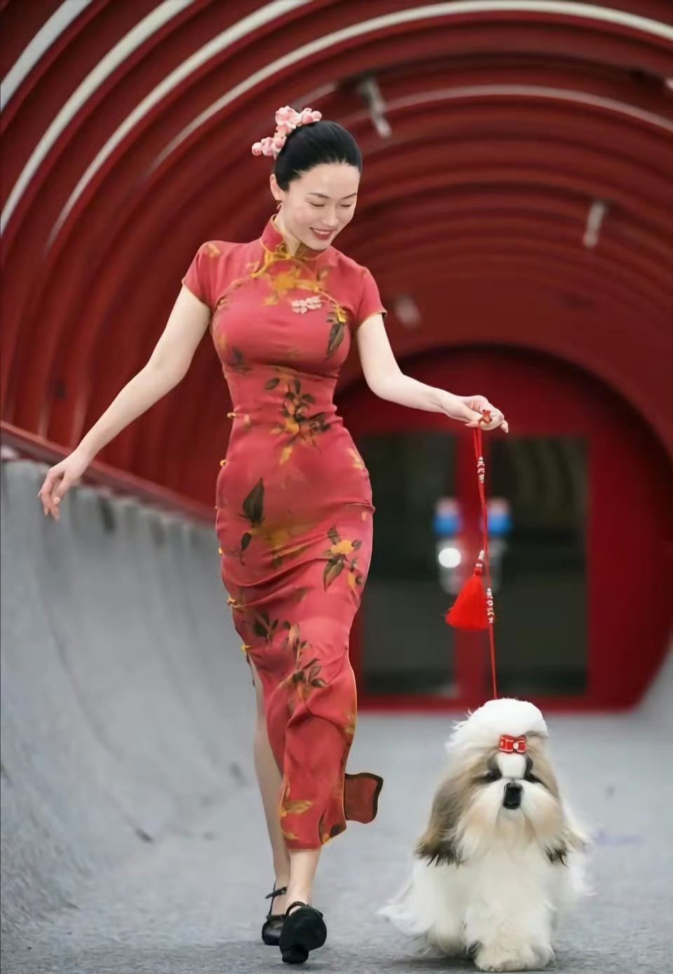 霍思燕旗袍装真的太显身材了，不得不说她好爱狗