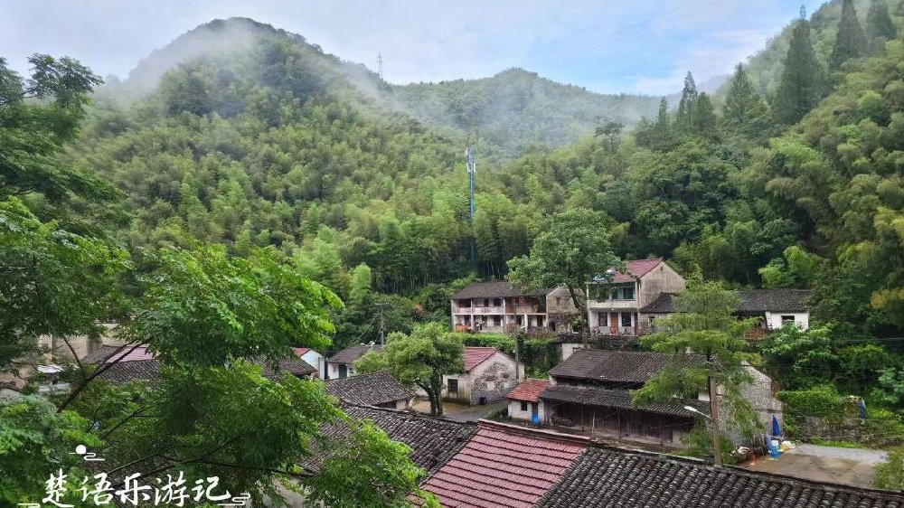 余姚如何寻找本地特色服务及资源详解