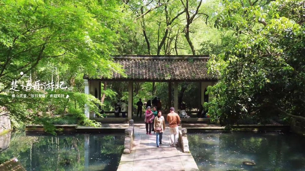 杭州虎跑公园居然是丛林秘境，风光与传说并存，美景让人流连忘返