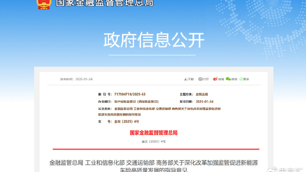 保险公司不得拒保！我国首个新能源车险指导意见正式发布