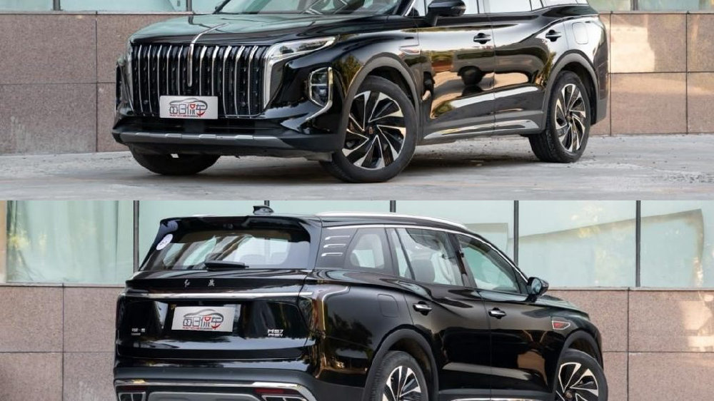 20万能拿下的6-7座新能源SUV 优缺点都很明显