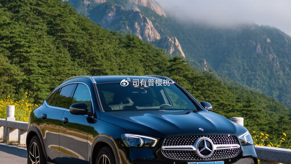 奔驰C类引擎烧机油的维修方法