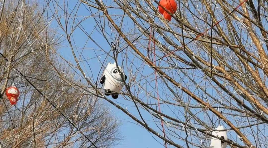 河北承德四棵树上挂满会发光的“冰墩墩”,当地居民:想摘但够不到休闲区蓝鸢梦想 - Www.slyday.coM 河北承德四棵树上挂满会发光的“冰墩墩”,当地居民:想摘但够不到休闲区蓝鸢梦想 - Www.slyday.coM