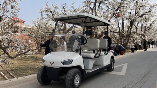 林立汽车浅述五菱高尔夫电动球车维修与保养指南