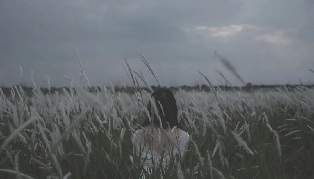 奔驰婚车撞死姐弟，新郎照常举行婚礼∶