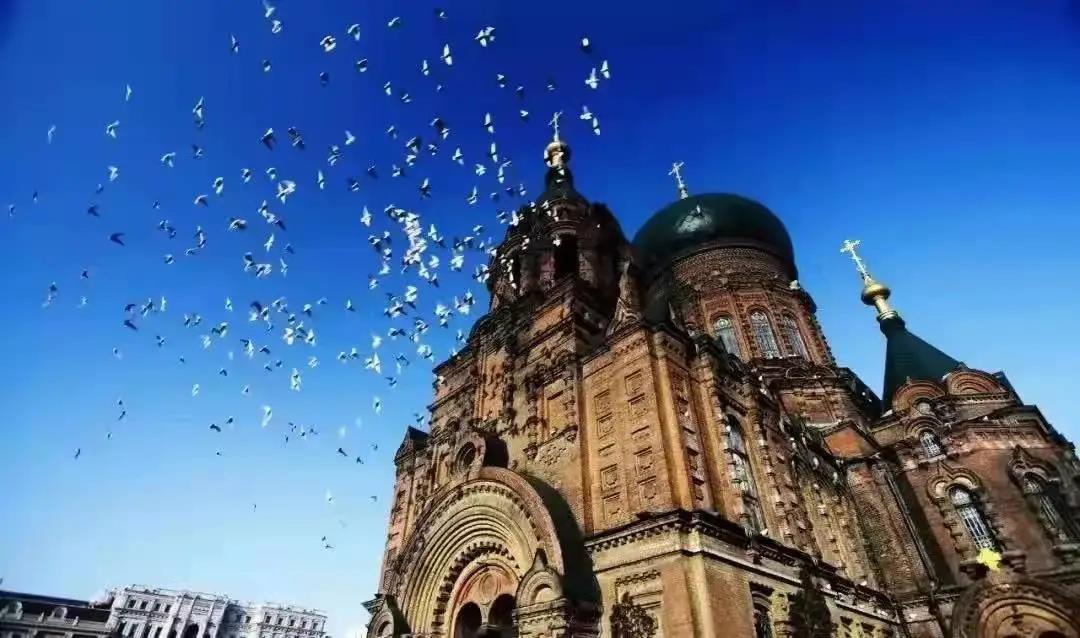 哈尔滨市内景点排行榜前十名_哈尔滨十大旅游景点推荐(2)