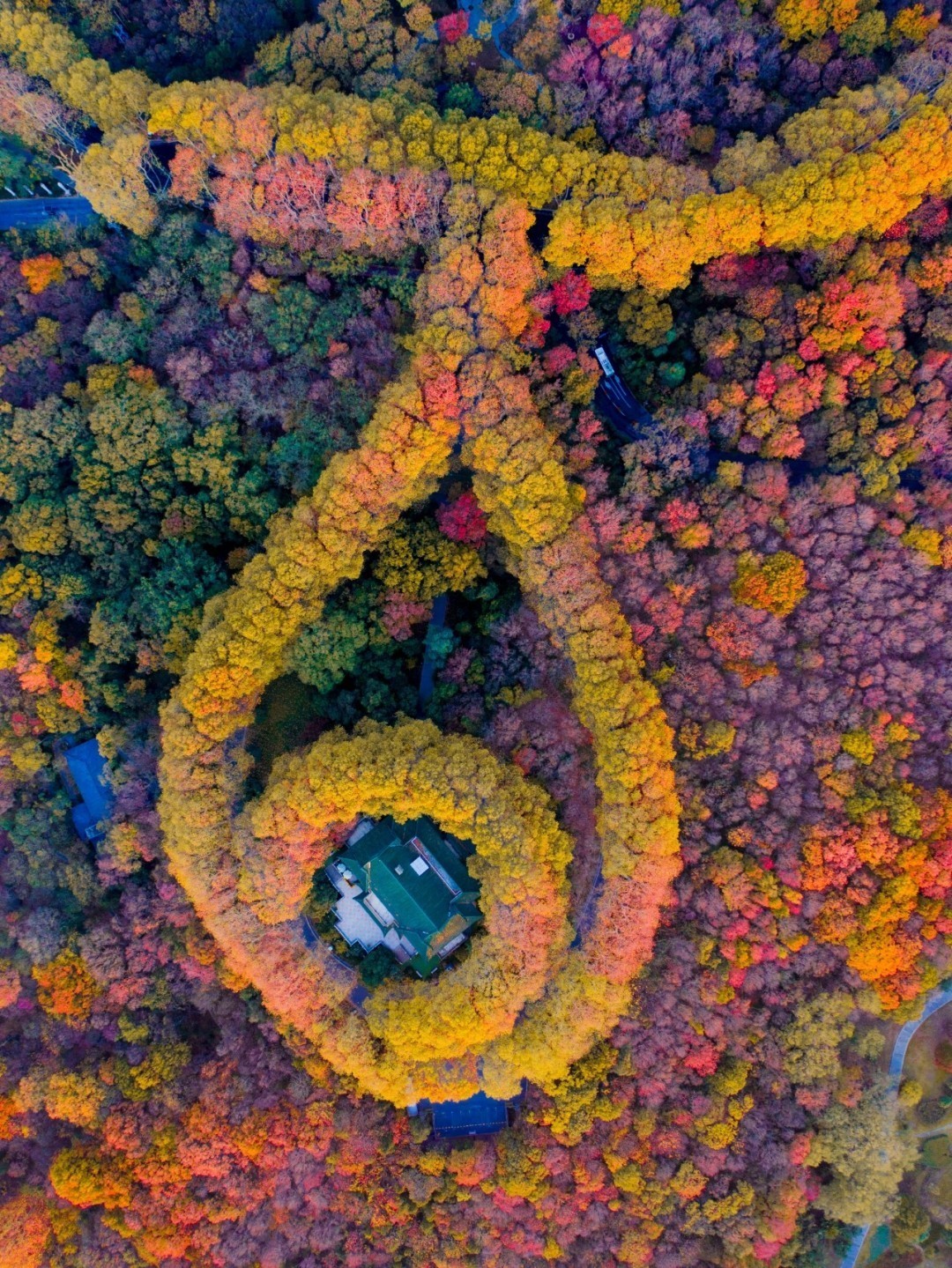 南京中山陵附近的美龄宫,被誉为中国最美的项链,在每年的秋季