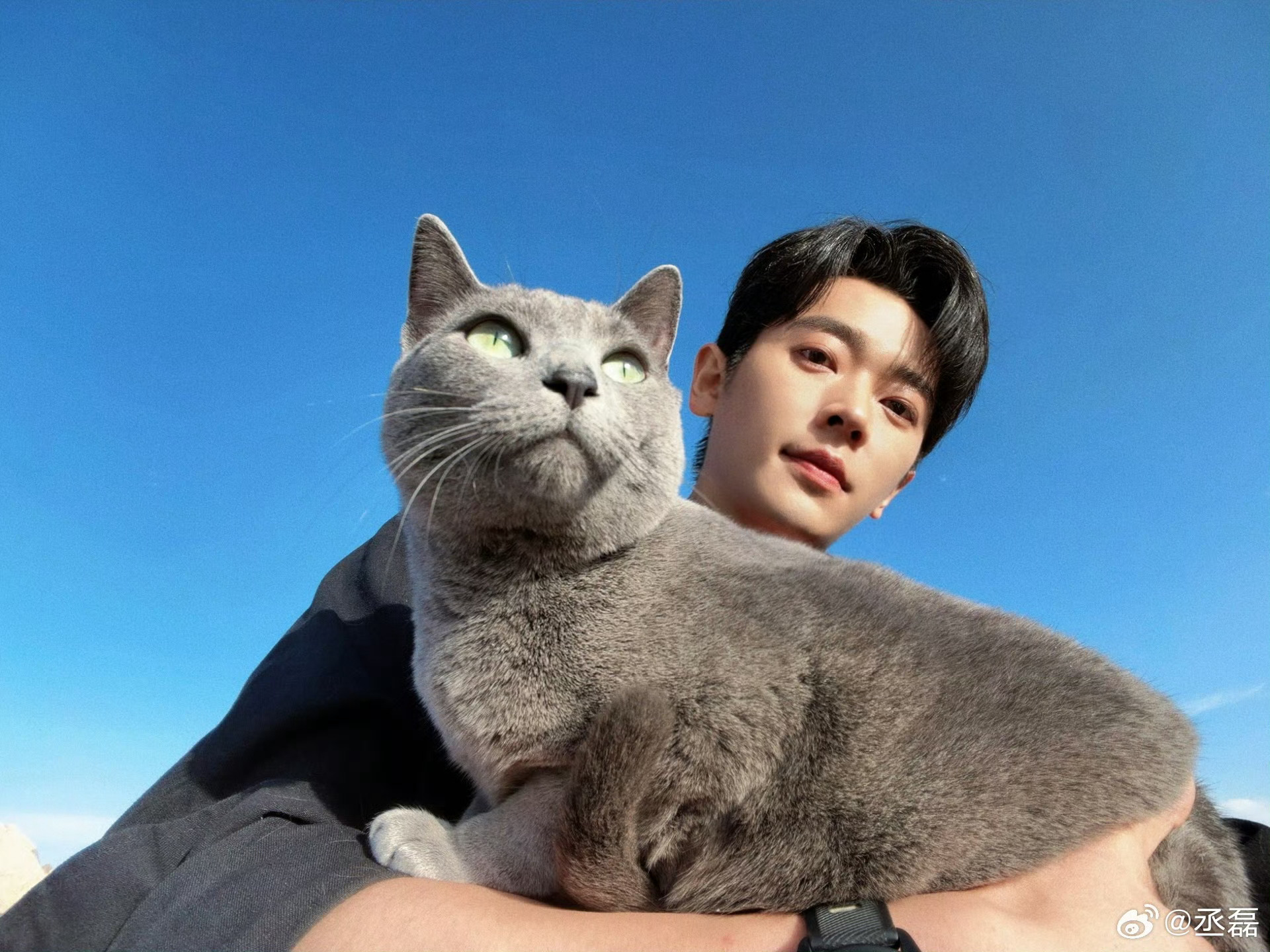 丞磊掌镜自拍抱猫照，黑袖腕表展现下颌线