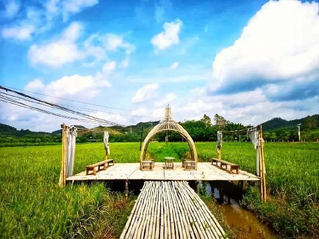 广州周边3家最适合遛娃亲子民宿，带娃赏星空稻田花园丨南方民宿|南方|民宿|稻田_新浪新闻