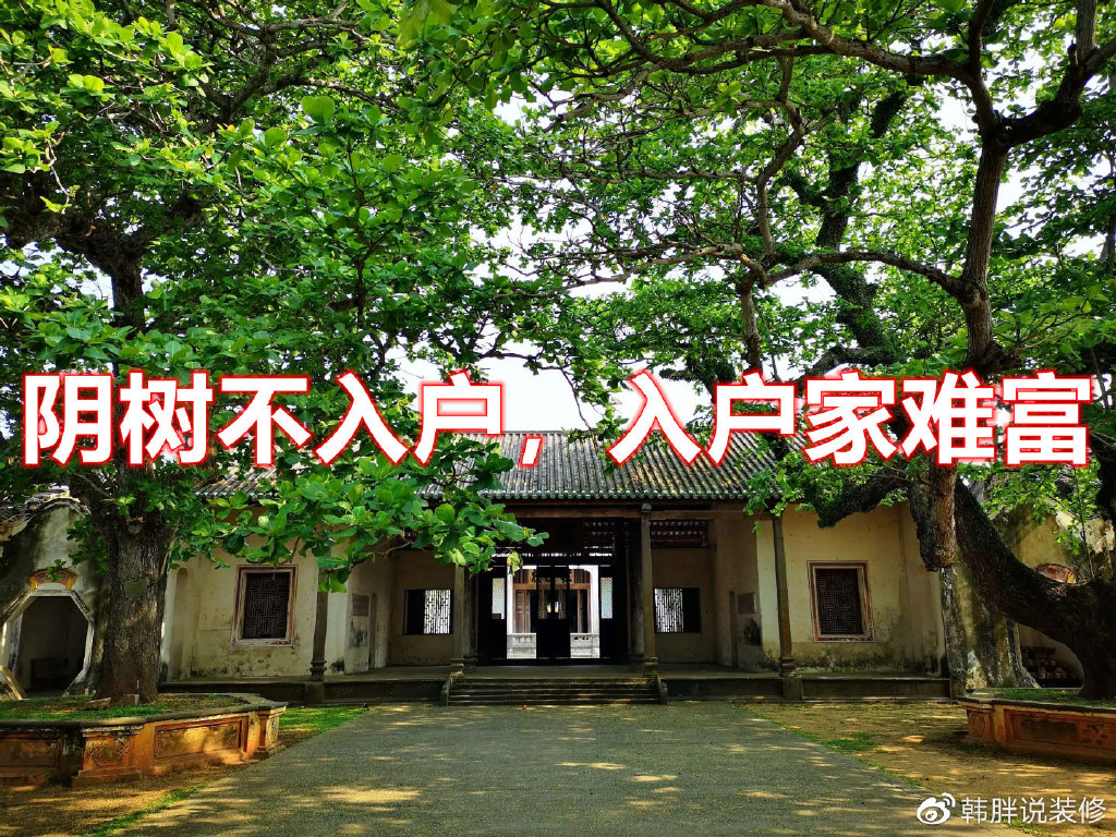 “阴树不入户，入户家难富”，什么是阴树？看看你家有没有？-什么叫阴树