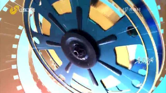 《警察荣誉》精彩剧情：张志杰大年夜千里抓捕郑有千