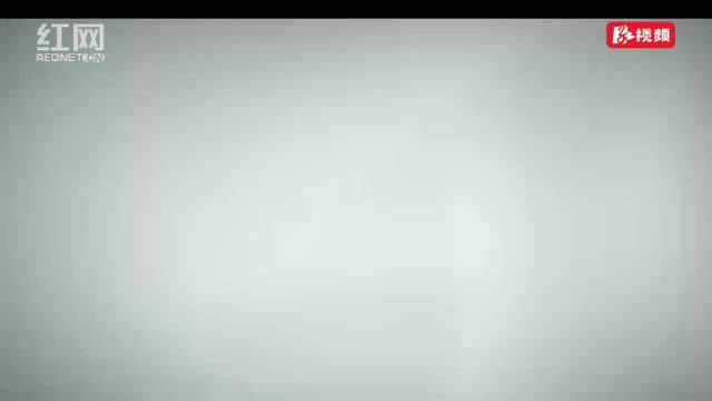 视频 | 看看今年的“蛇宝宝”有多活泼